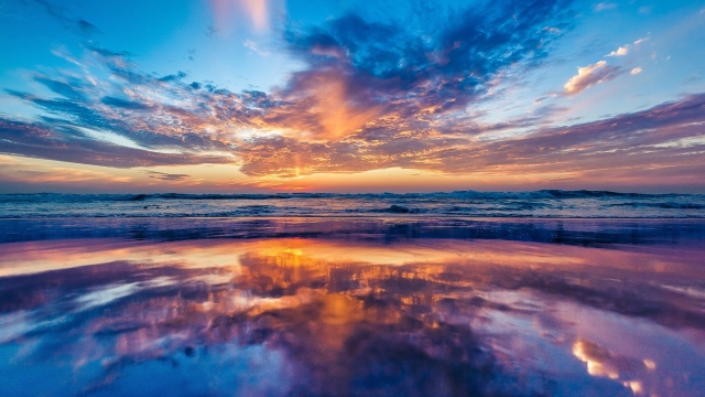 必赢公司：园林绿化治疗白粉病的药