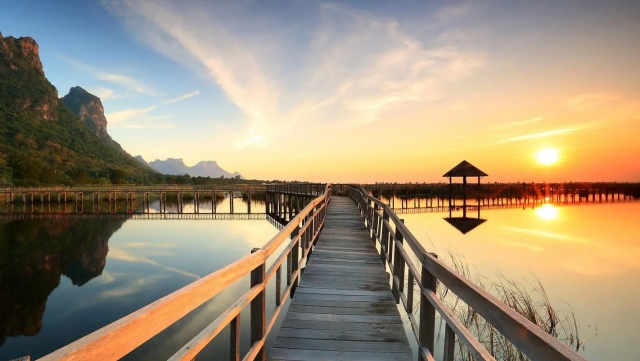 bwin必赢公司：园林绿化与景观