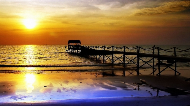 bwin必赢公司：园林绿化栽植措施