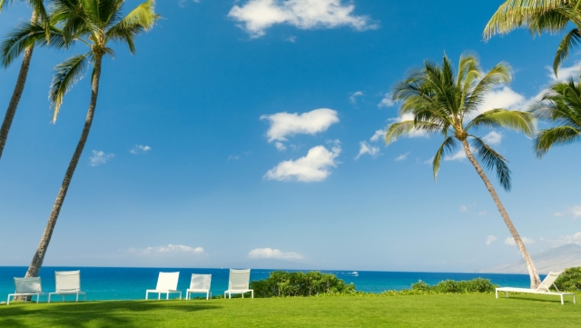 bwin必赢公司：园林绿化注意点