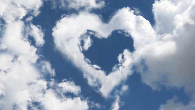 bwin必赢国际：园林绿化养护着装