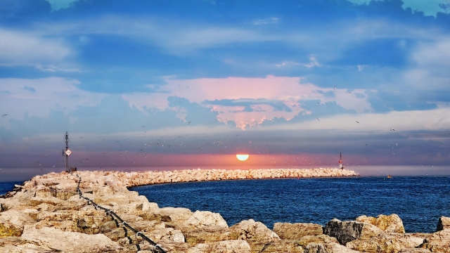 bwin必赢国际：园林绿化树木修剪时间多久完成