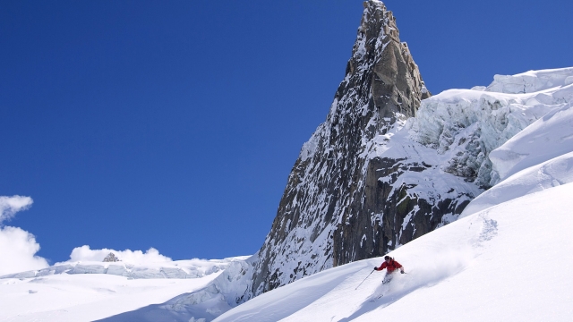 必赢唯一官方网站园林绿化死株确认