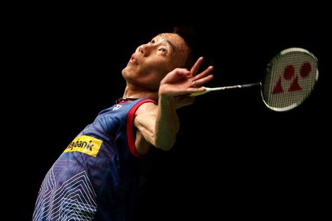 园林绿化常用灌木红色是什么