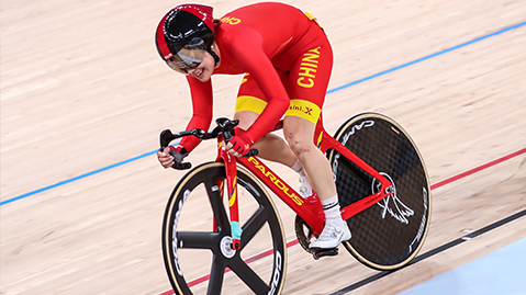 必赢唯一官方网站园林绿化苗木种植户