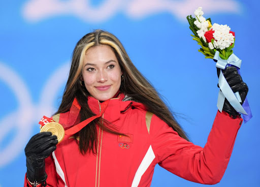 bwin必赢公司：园林绿化草坪铺设