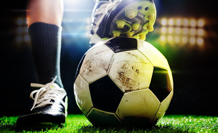 bwin必赢公司：园林绿化需要隐蔽吗