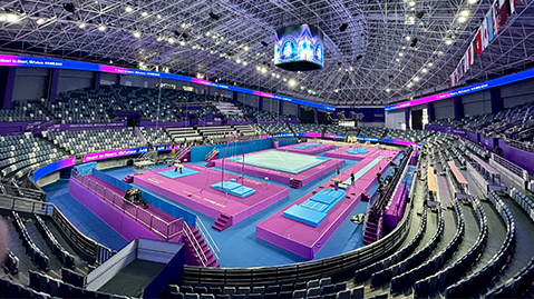 bwin必赢公司：园林绿化裁剪枝叶