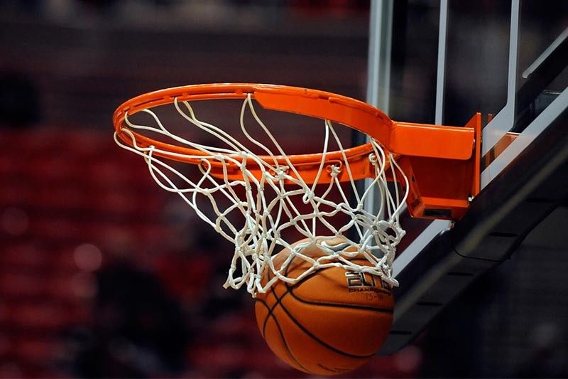 必赢唯一官方网站园林绿化的作用是